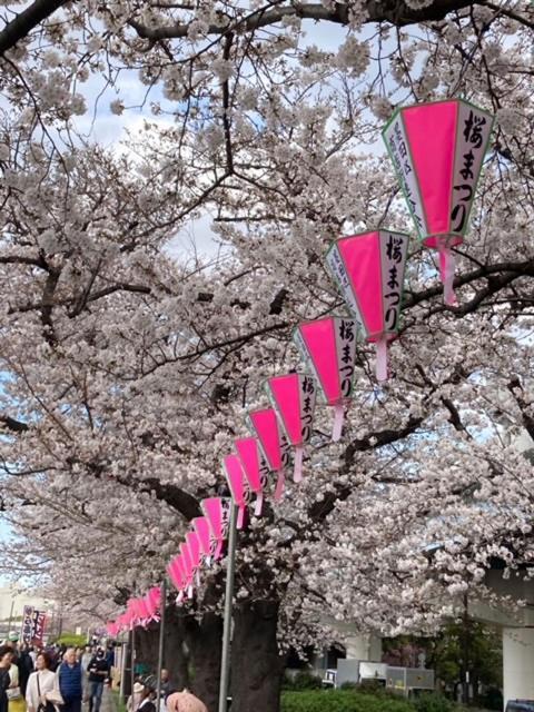Sky Tree Inn Tokyo Dış mekan fotoğraf