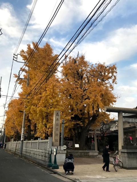 Sky Tree Inn Tokyo Dış mekan fotoğraf