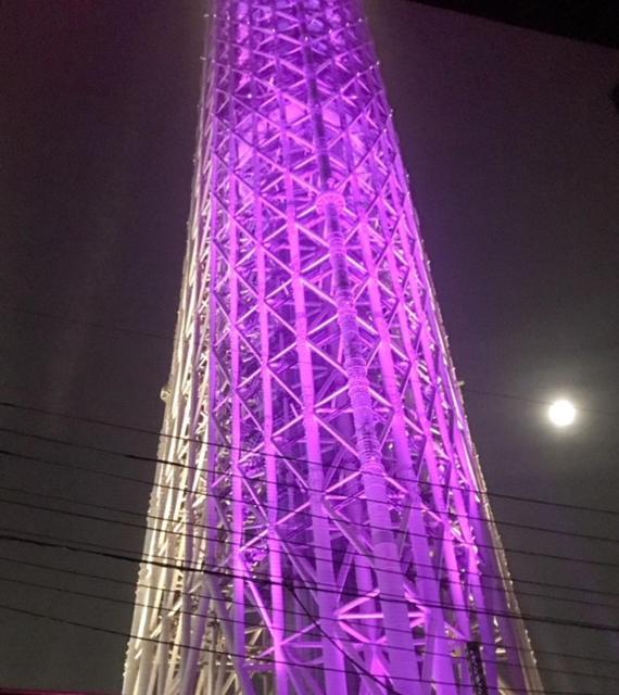 Sky Tree Inn Tokyo Dış mekan fotoğraf