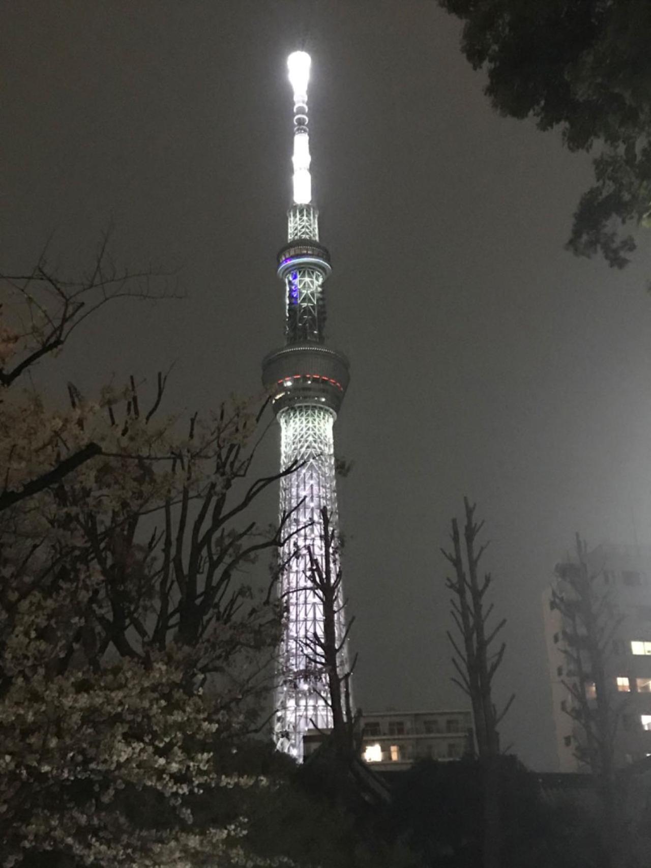 Sky Tree Inn Tokyo Dış mekan fotoğraf