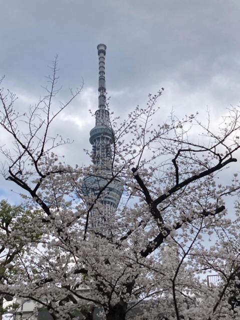 Sky Tree Inn Tokyo Dış mekan fotoğraf