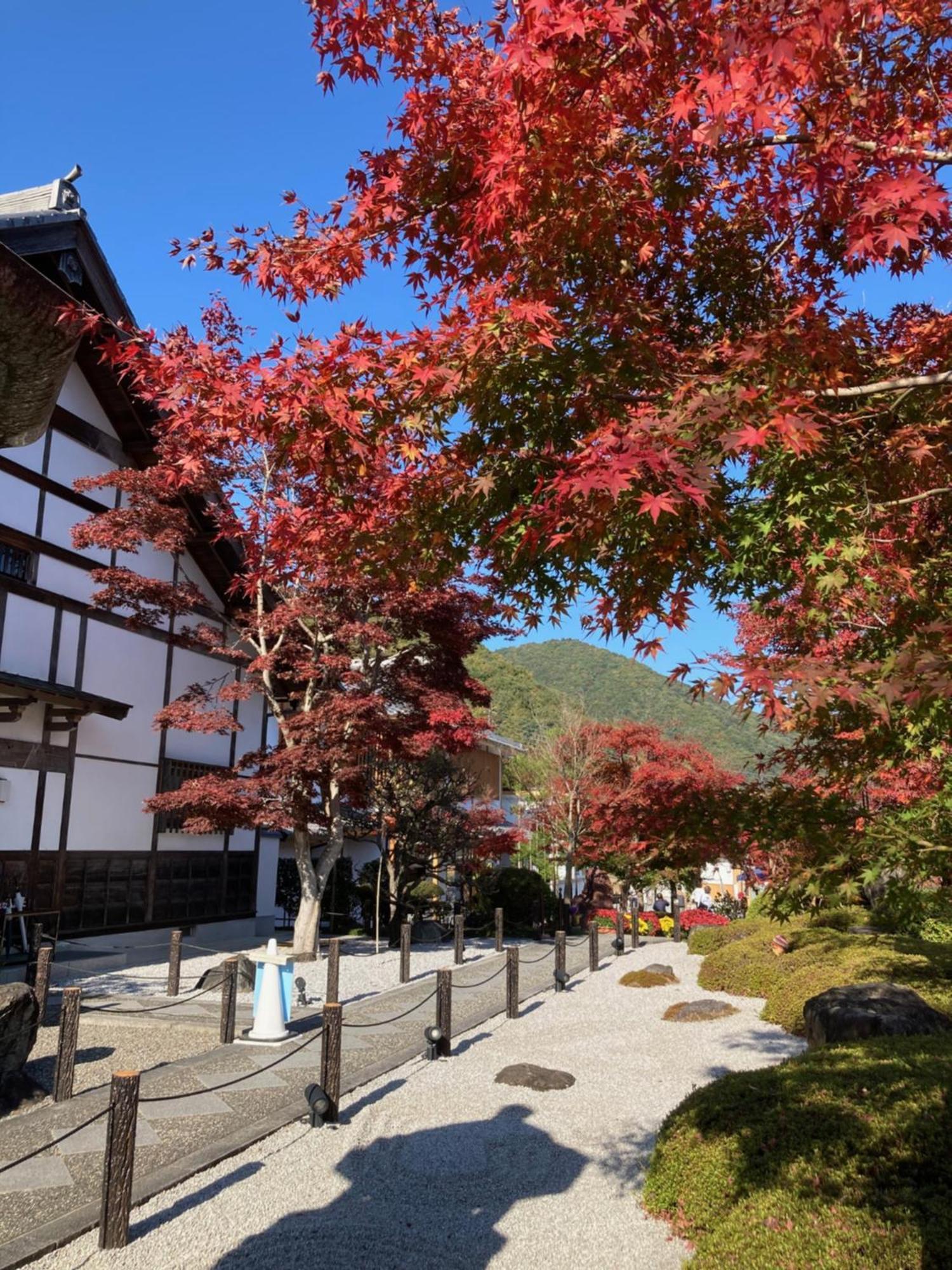 Sky Tree Inn Tokyo Dış mekan fotoğraf